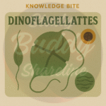 Dinoflagellates