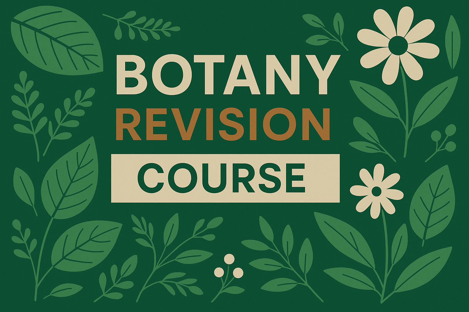 602196A0-B941-48A6-803B-CA09F7FBD99B 602196A0-B941-48A6-803B-CA09F7FBD99B